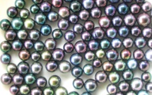 La belle perle sous toutes ses formes et ses couleurs !