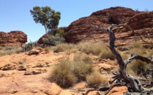 Australie: découverte du corps d'une touriste allemande portée disparue