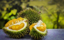 Des durians, savoureux mais à l'odeur nauséabonde, vendus à prix d'or en Indonésie