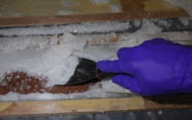 Un second laboratoire d'ice démantelé à Tautira