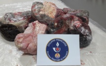 35 kilos de viande de tortue découverts dans un bateau