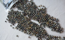 ​Le Pays condamné à verser 48,4 millions à un négociant de perles