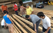 Une formation pour "garantir la qualité du bois de pin" produit au fenua