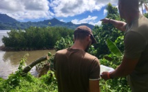 La mangrove polynésienne sous les radars de la Fape