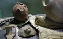 Des chercheurs israéliens recréent la "bière des pharaons" avec une levure de 3.000 ans