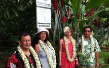Le jardin Botanique du Motu Ovini site pilote du Réseau de l'Herboretum en Polynésie française.