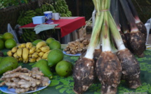 La foire agricole de Huahine ouvrira ses portes le 29 juin