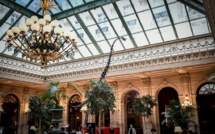 Un cousin du Diplodocus s'affiche dans un grand hôtel parisien avant sa vente