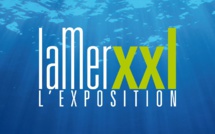 "La Mer XXL", immersion spectaculaire dans les océans à Nantes