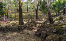 Un site aborigène d'Australie inscrit au patrimoine mondial de l'humanité