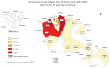 44 cas de dengue 2 supplémentaires en Polynésie