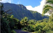 Ivre et sans casque, un jeune homme de 23 ans se tue en scooter à Raiatea