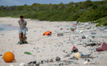 Au milieu du Pacifique, l'île Henderson, paradis perdu par le plastique