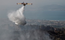 "Catastrophe écologique" sur l'île grecque d'Eubée ravagée par les flammes