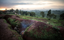 Forêts: l'Afrique brûle aussi, mais pas comme l'Amazonie