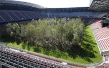 Une forêt plantée sur le terrain d'un stade autrichien