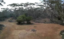 Une Australienne perdue dans le bush sauvée par un "SOS" écrit dans la terre