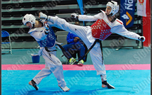 Taekwondo: Teddy Teng remporte la médaille d'argent France Sénior