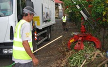 A compter du 1er mars 2012 : La collecte des déchets verts et  des encombrants à Pirae sera modifiée