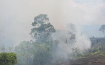 Incendie à Nuku Hiva: 600 hectares de forêt dévastée, une espèce endémique menacée