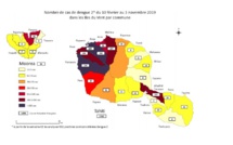 L'épidémie de dengue 2 se stabilise