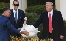 Trump gracie deux dindes pour Thanksgiving en ironisant sur la destitution