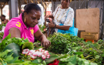 En Martinique, les plantes médicinales se modernisent pour soigner les maux