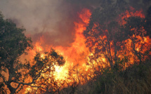 Important incendie de forêt à la périphérie de Nouméa