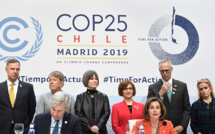 Climat: plaidoyers vibrants pour l'action à la COP25