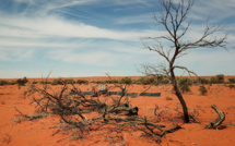 Disparitions dans l'Outback australien: un corps retrouvé deux semaines après