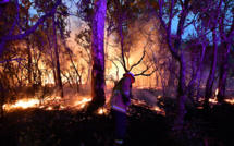 Incendies en Australie: un nuage toxique enveloppe la capitale