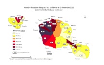 L'épidémie de dengue 2 se poursuit