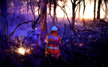 Australie: la chaleur record attise les incendies, état d'urgence dans le sud-est