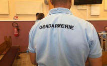 Trois ans ferme pour avoir braqué des gendarmes