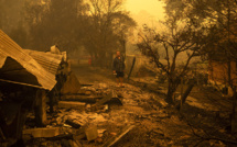 Australie: le "méga-feu" sous contrôle, de la pluie attendue