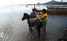 Volcan philippin: des chevaux secourus après une mission dangereuse