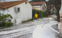 La tempête "Gloria" touche les Pyrénées-Orientales, 1.000 foyers sans électricité