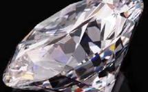 Canada: un voleur avale un diamant, la police attend la sortie avec un seau