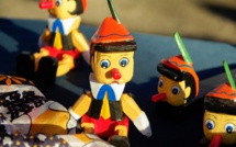 "Prix Pinocchio" remis au norvégien Yara pour dénoncer le greenwashing