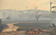 Les incendies en Australie ont détruit 20% des forêts