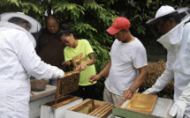 Des demandeurs d’emplois formés à l’apiculture