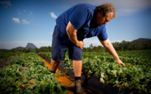 Coronavirus: en Australie, les agriculteurs inquiets de la fermeture des frontières