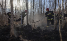 De gros incendies ravagent le plus grand parc national polonais