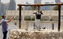 Au Qatar, l'application de traçage du coronavirus inquiète