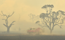 Australie: la fumée des incendies à l'origine de centaines de décès