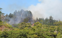 Incendie de montagne sur la route du mont Marau