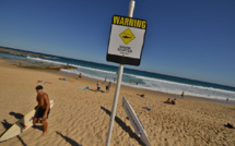 Australie: un surfeur tué par un requin