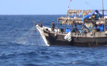 Des centaines de bateaux chinois pêchent illégalement en Corée du Nord