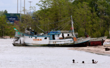 Brésil: des poissons contaminés au mercure près de la Guyane