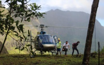 Maraeti'a : nouvelle étape du projet de restauration de forêt 